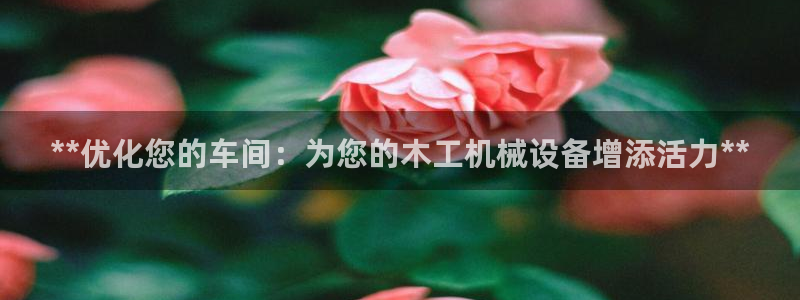 九游会大家觉得怎么样