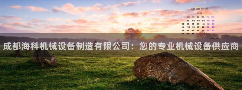 九游会国际厅有限责任公司