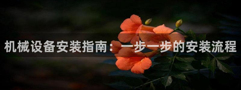 九游会网址jn109