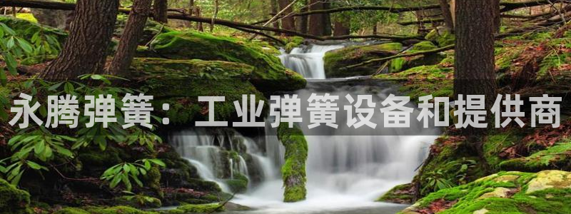 九游会登陆地址