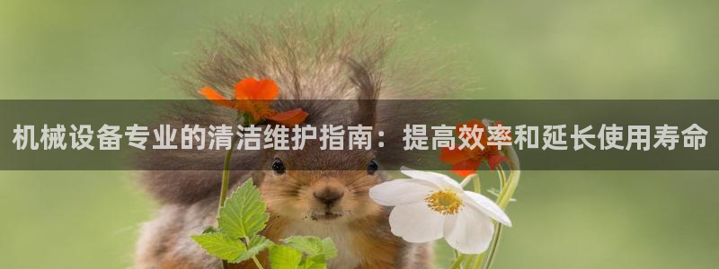 九游会视讯,九游会视讯厅