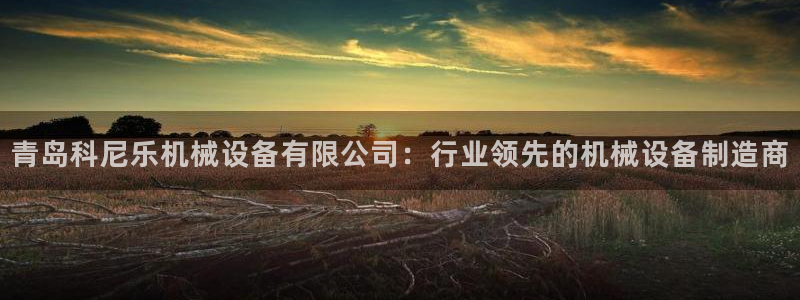 j9九游会app官网下载