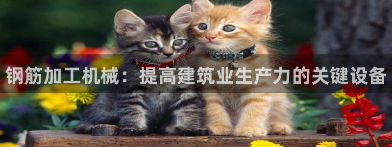 九游会集团新的选择