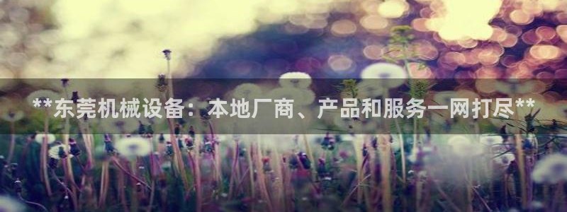 j9游会真人游戏第一品牌