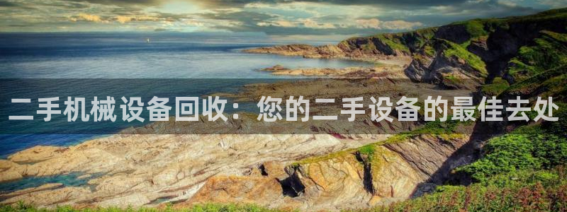 九游会ag亚洲