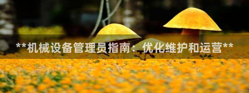 j9.cn