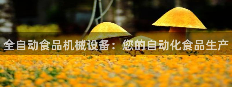 九游会国际站