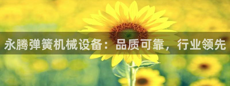 九游会是ag吗