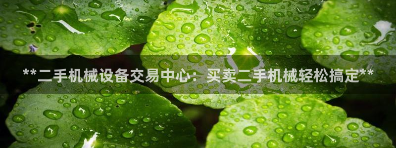9游会老哥
