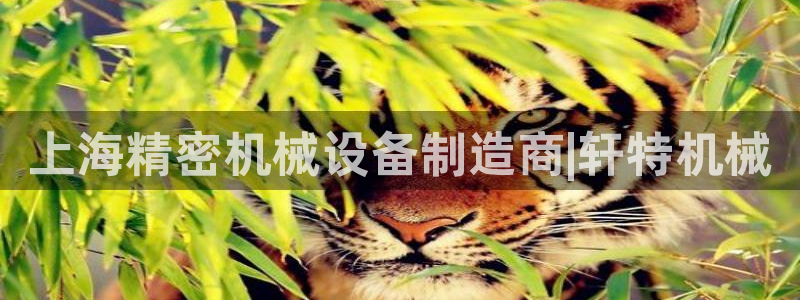 ag久游会