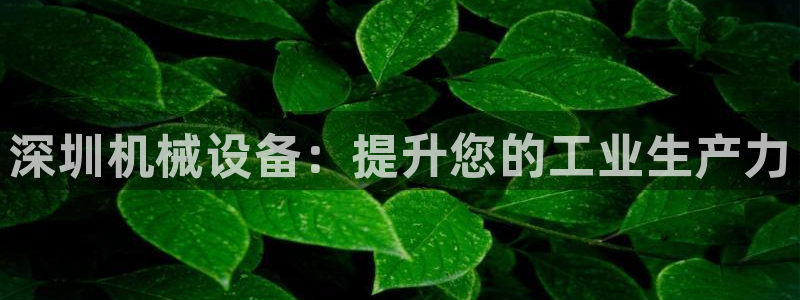 J9九游会国际
