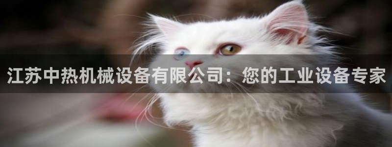 九游会老哥俱乐部社区论坛