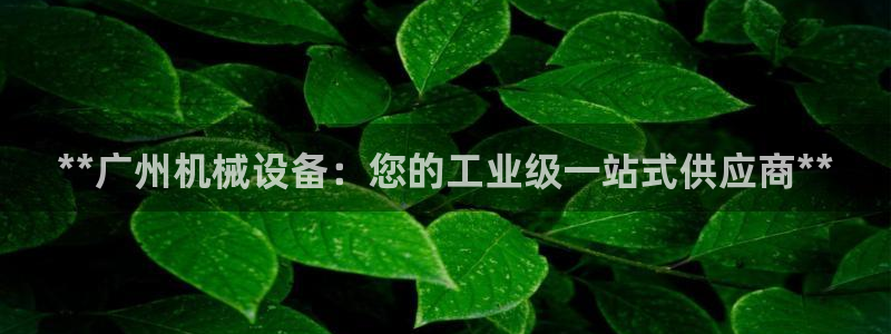 九游会网址是什么