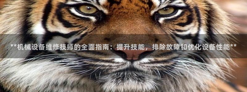九游会j9官网
