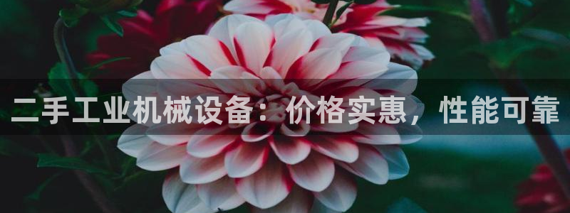 九游会集团登陆