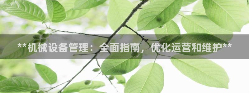 九游j9会