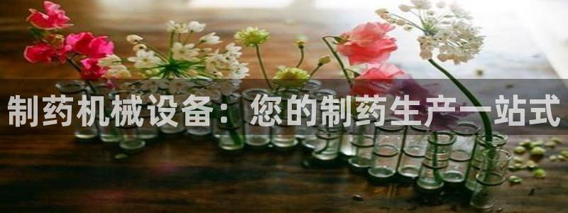 九游会app下载版官网正版