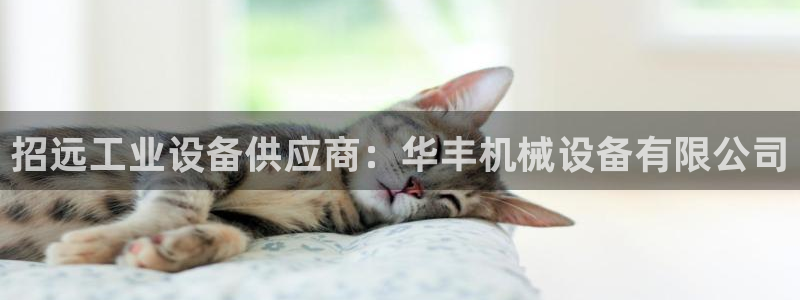 九游会老哥俱乐部官方网站