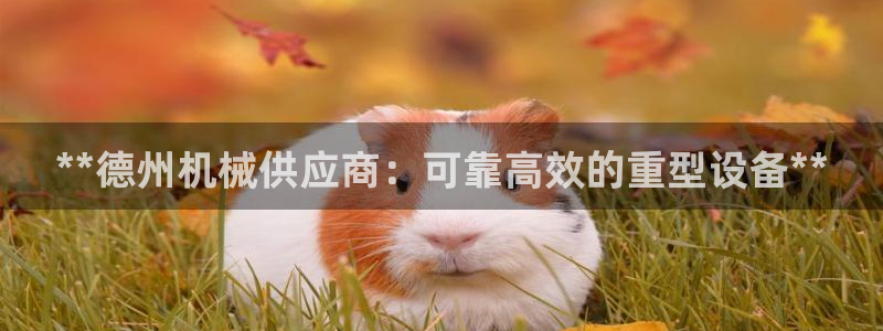 j9九游会游戏