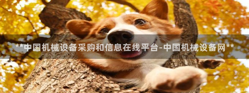九游会官网网页版