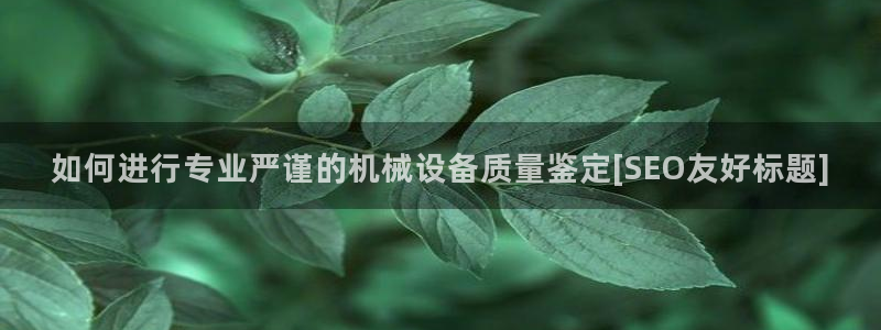 九游会是干嘛的