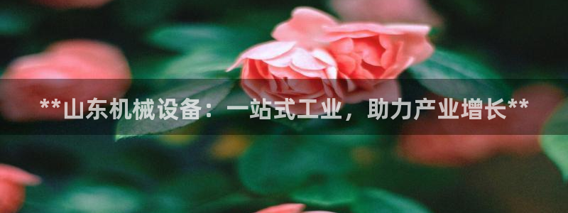 j9九游会真人第一品牌
