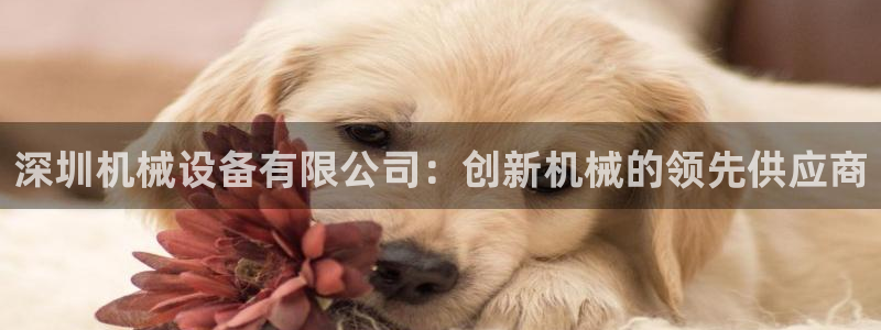 九游会官网j9