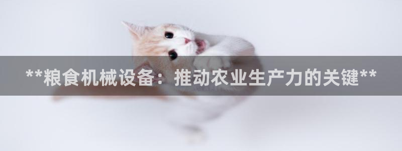 j9九游会官网入口
