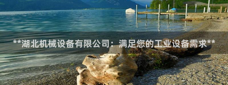 J9九游会网站