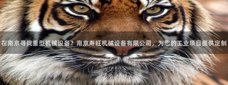 j9九游会跑路了吗
