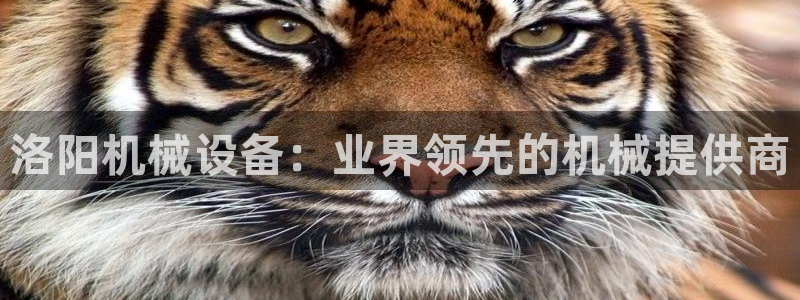 九游会平台登陆