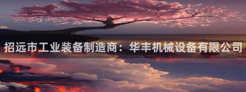 九游会登不上