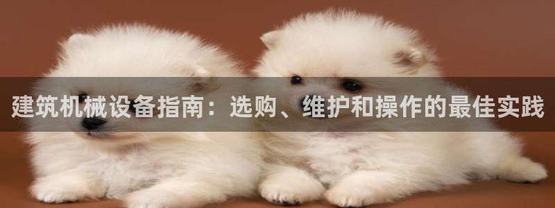 九游会老哥必备的交流社区