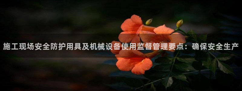 ag九游会app下载版官网正版