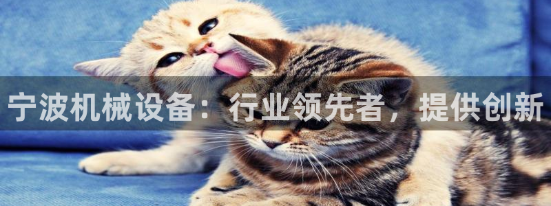 九游会跟ag是怎么一回事
