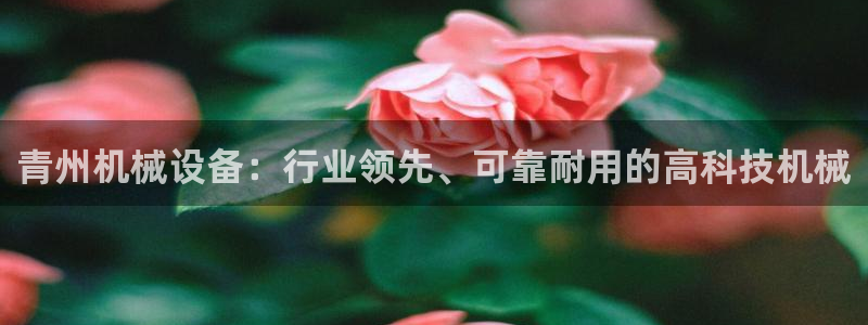ag8亚洲九游会