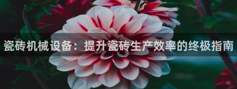 九游会集团首页