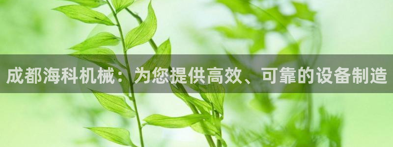 j9九游会永久域名