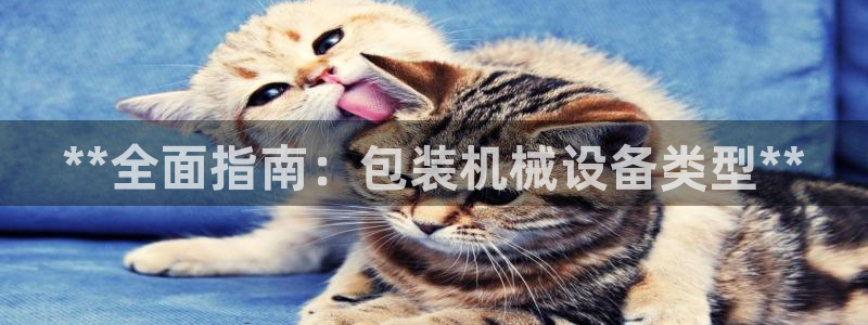 九游会官网网址