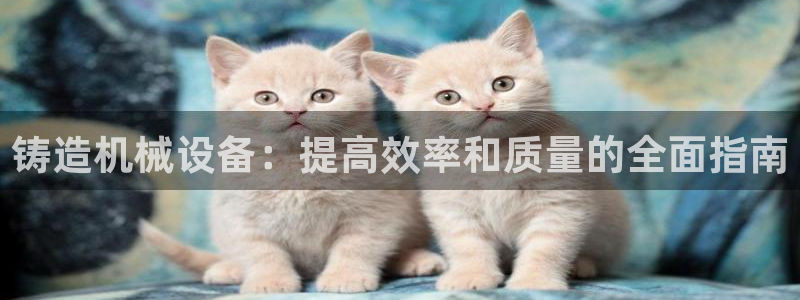 ag九游会vip8