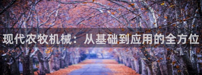 九游会平台最强