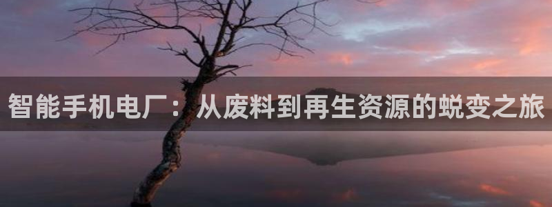 ag九游会app下载版官网正版