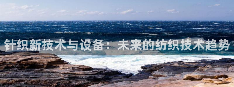 ag改名九游会