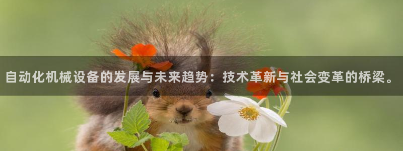 9游会j9