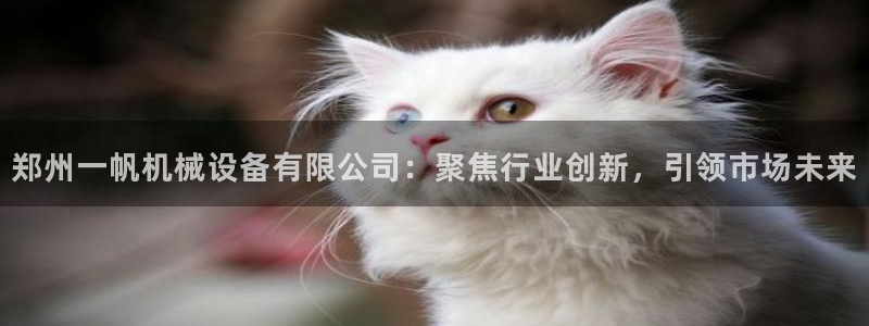 九游会网址多少