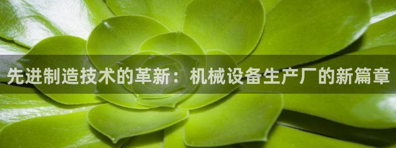 ag8九游会