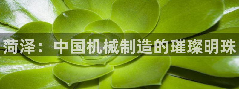 九游会ag首页