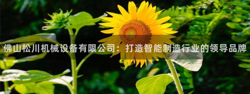 ag老队友