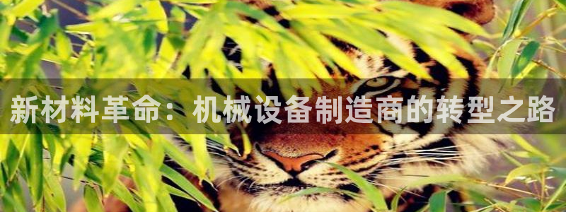 九游会平台