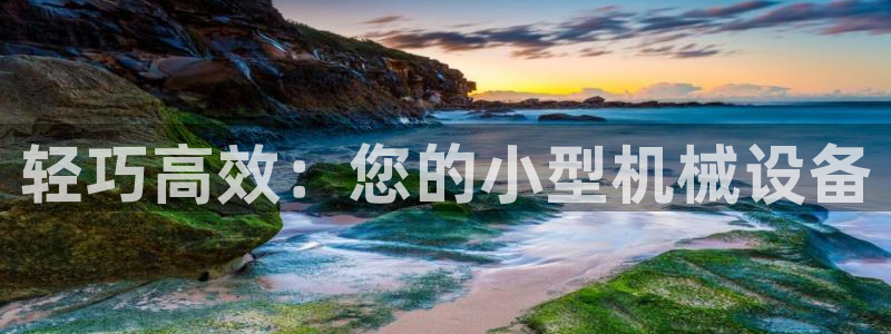 九游会官网ag旧版
